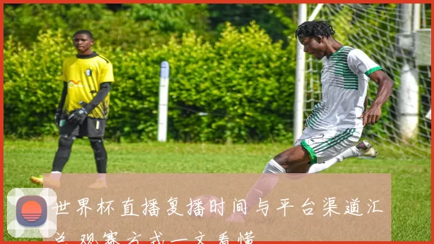 世界杯直播复播时间与平台渠道汇总 观赛方式一文看懂