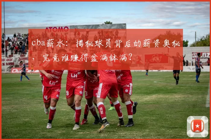 cba薪水：揭秘球员背后的薪资奥秘，究竟谁赚得盆满钵满？