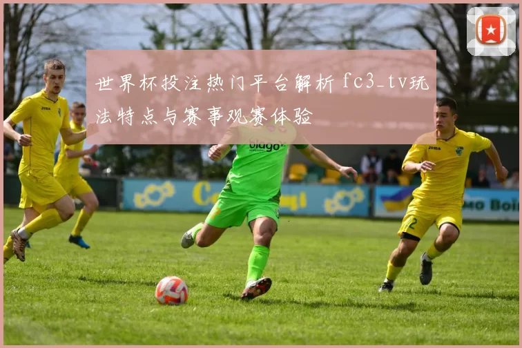 世界杯投注热门平台解析 fc3_tv玩法特点与赛事观赛体验